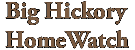 Big Hickory Home Watch