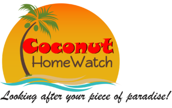 Coconut Home Watch